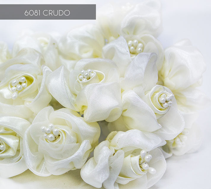 6081 CRUDO 12 UNIDADES