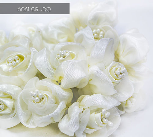 6081 CRUDO 12 UNIDADES