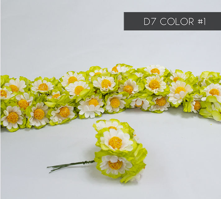D7 COLOR - 1 12 UNIDADES