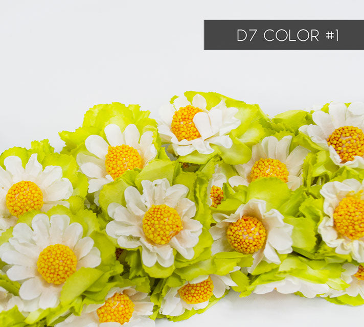 D7 COLOR - 1 12 UNIDADES